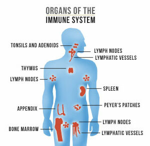 Immune Health