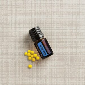 Blue Tansy