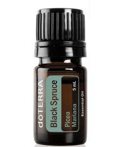 Black Spruce 5ml