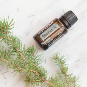Siberian Fir