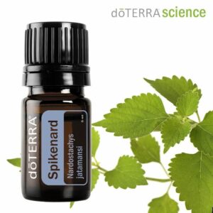Spikenard