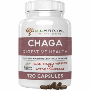 Chaga
