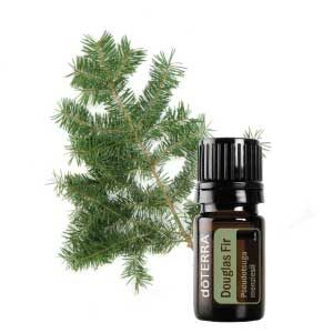 Douglas Fir