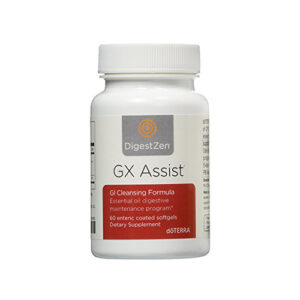 GX Assist