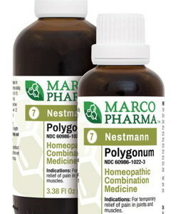 Polygonum