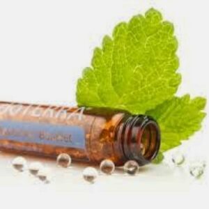 Peppermint Beadlet