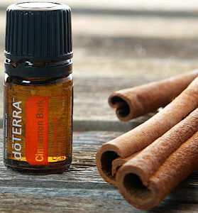 Cinnamon Bark