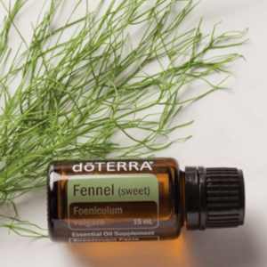Fennel