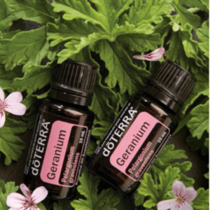Geranium