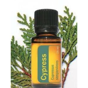 Cypress