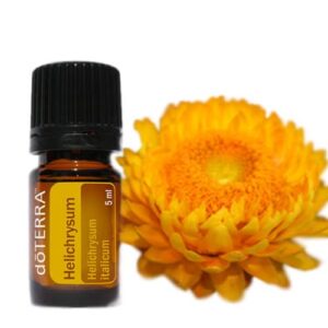 Helichrysum