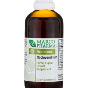 Scolopendrium
